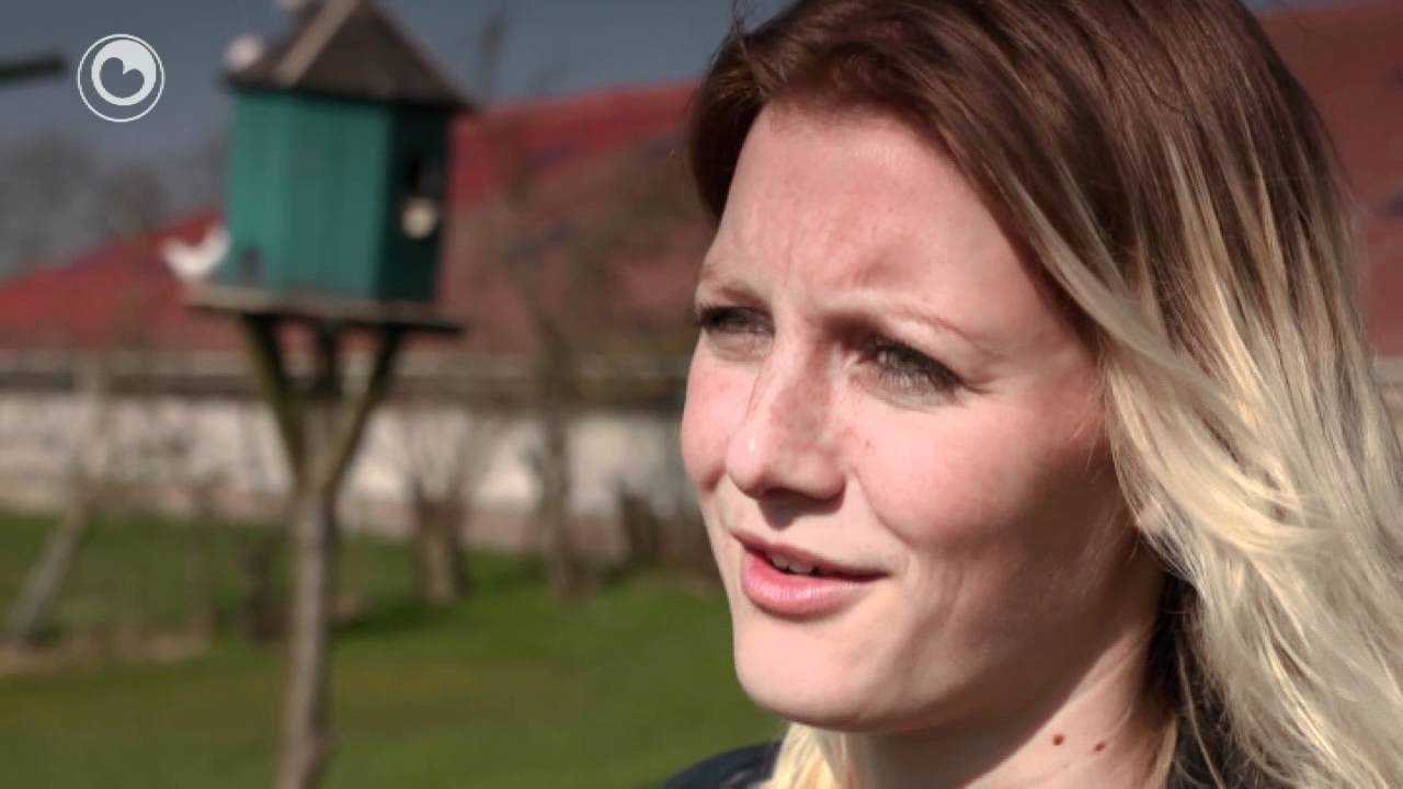 Fryslân Dok: 25 jier Aaipop