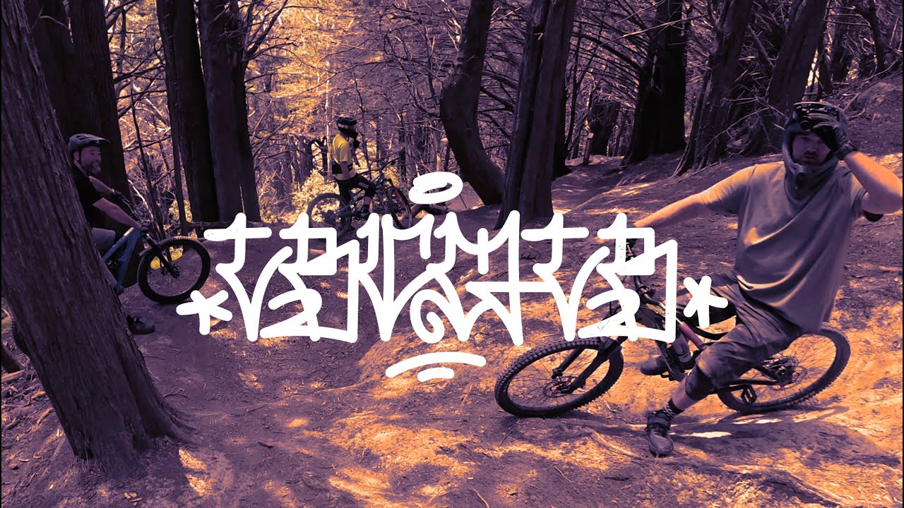 MTB // Idiots Ride Bikes 2: Electric Boogaloo // Mt. Victoria, WGTN, NZ
