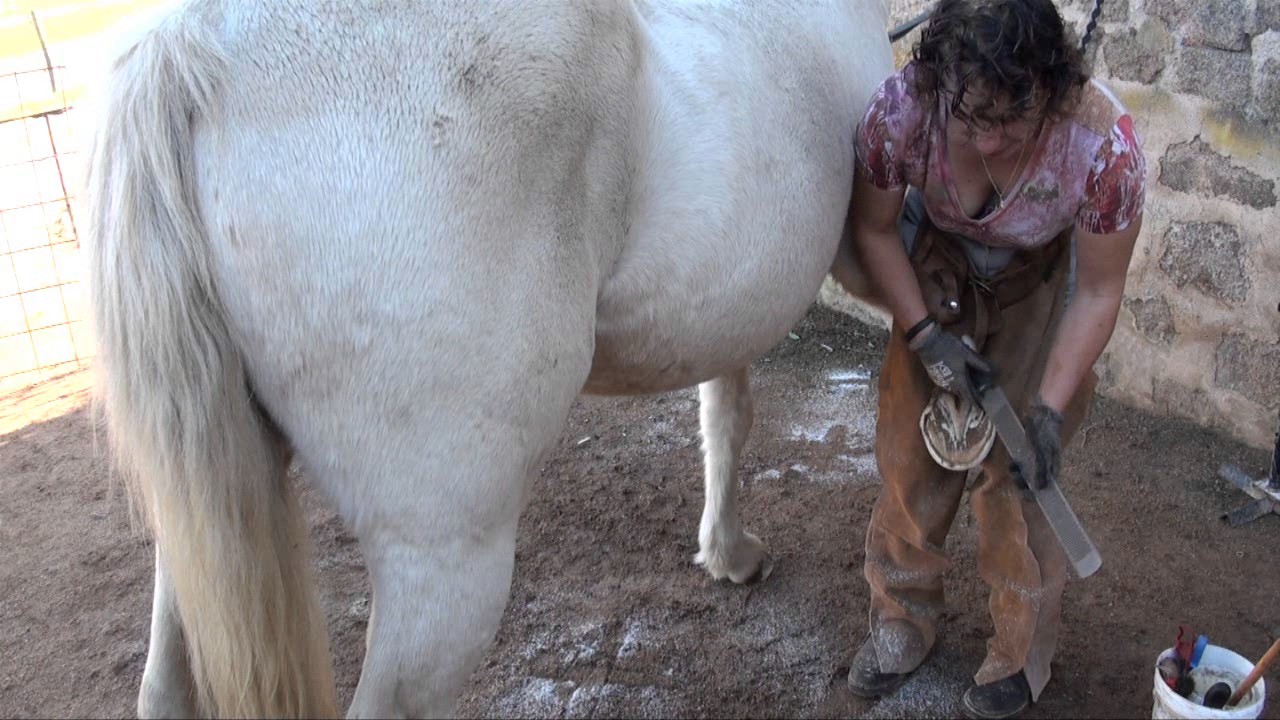 Comment ne pas ferrer un cheval ?