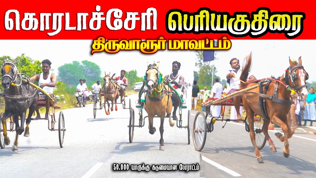 கொரடாச்சேரி  பெரியகுதிரை 15/02/2026