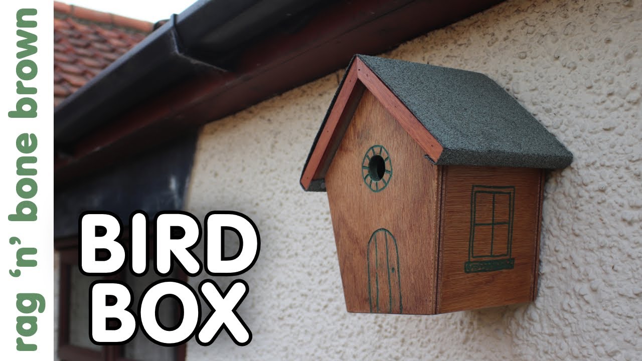 Making A Bird House Box