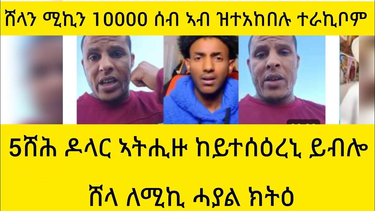 #5ሸሕ ዶላር ኣትሒዙ ከይተሰዕረኒ ይብሎ ሸላ ለሚኪ ሓያል ክትዕ#ethereum @angeup @abihabeshawittube8066 