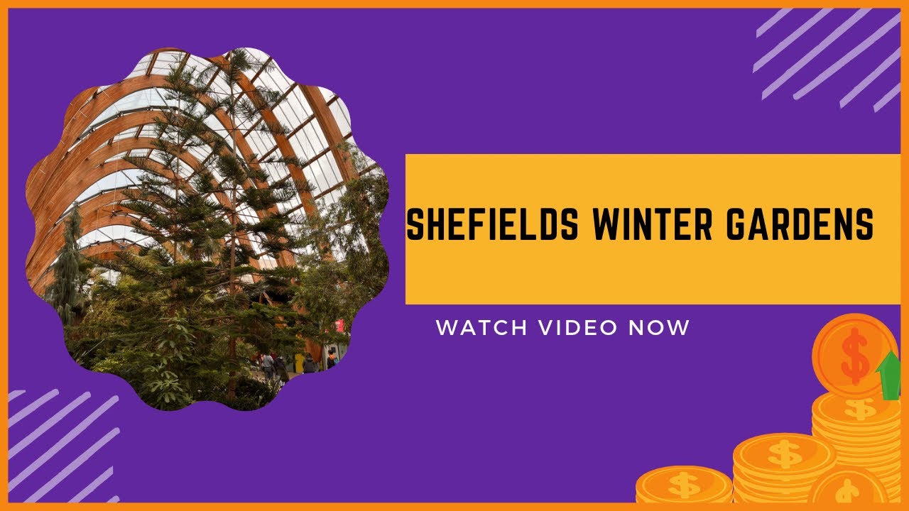 Sheffield's Winter Gardens