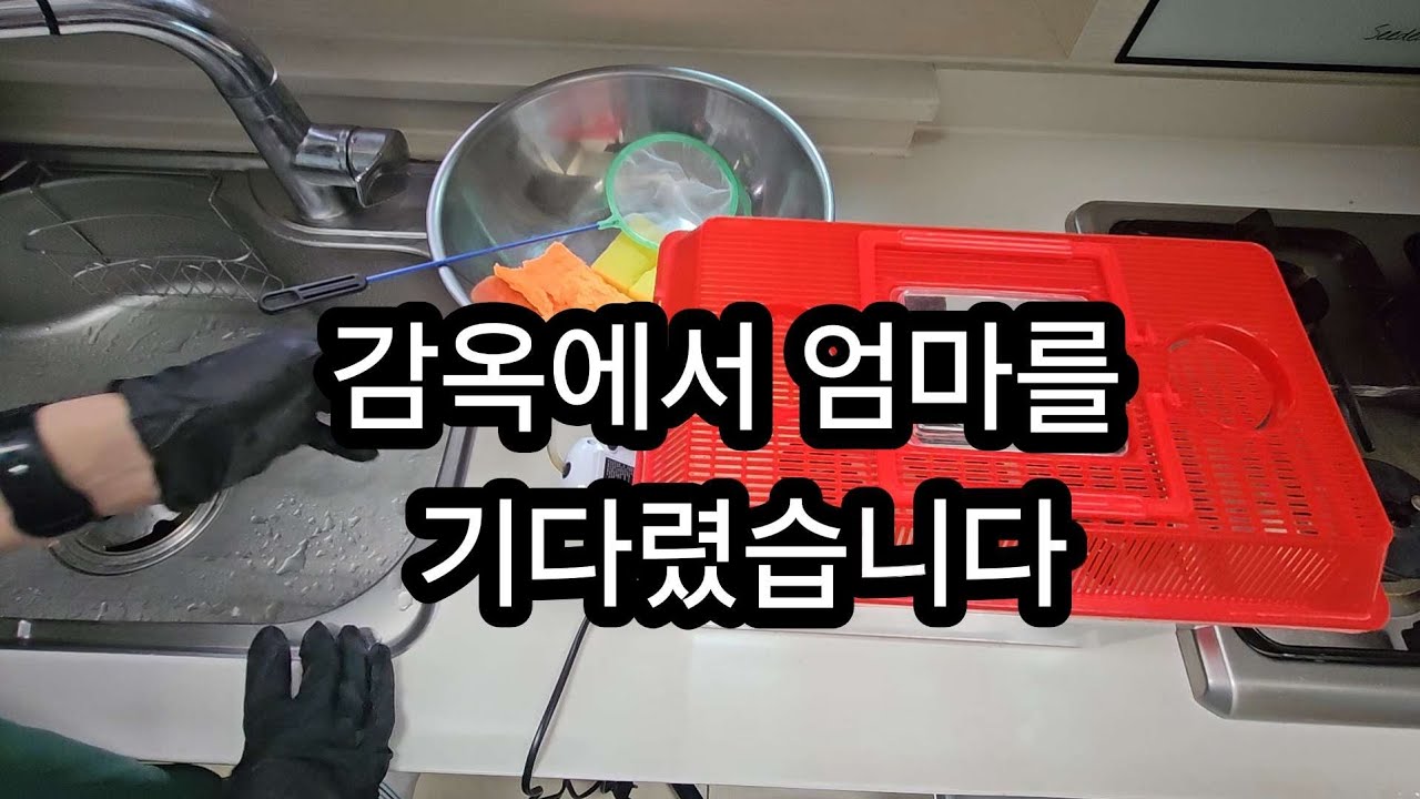 감옥 처음 들어간 날&hellip; 진짜 무너졌습니다 #교통사고#반성
