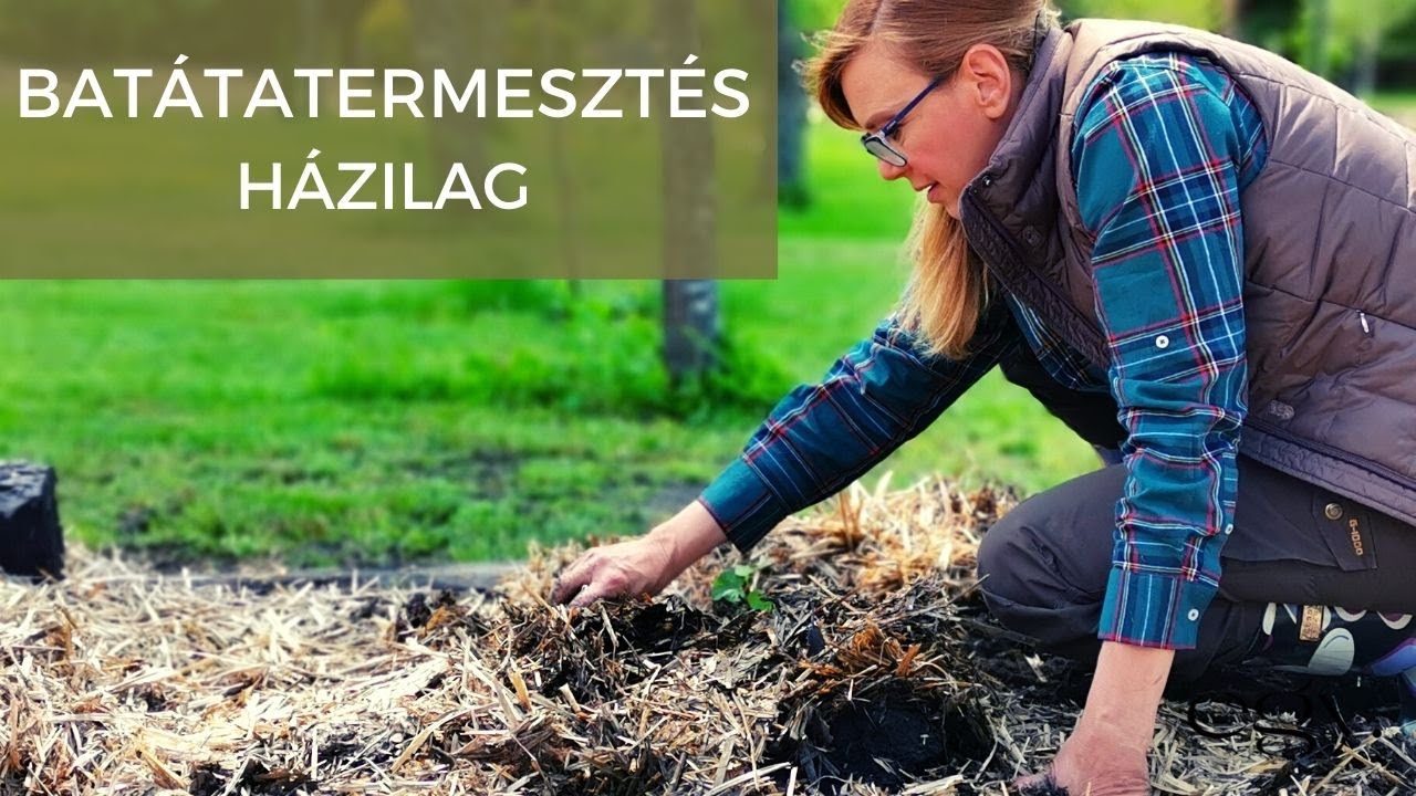 Borbás Marcsi: Kertem - Batátatermesztés házilag (57. rész)