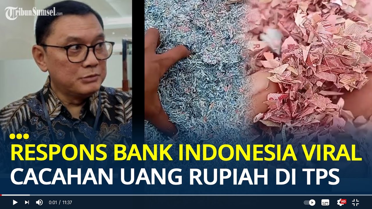 Respons Bank Indonesia Viral Cacahan Uang Rupiah Ditemukan di TPS Bekasi, Lakukan Penelusuran