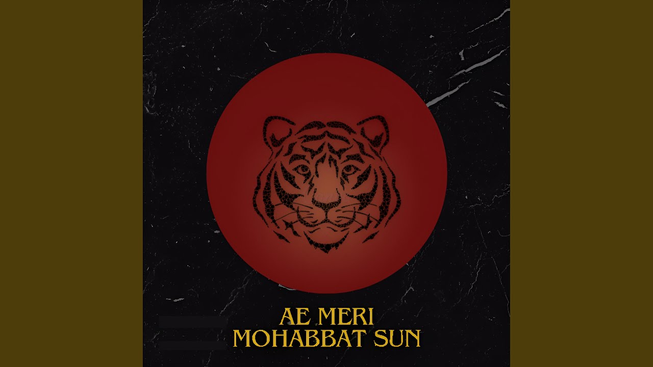 Ae Meri Mohabbat Sun DJ