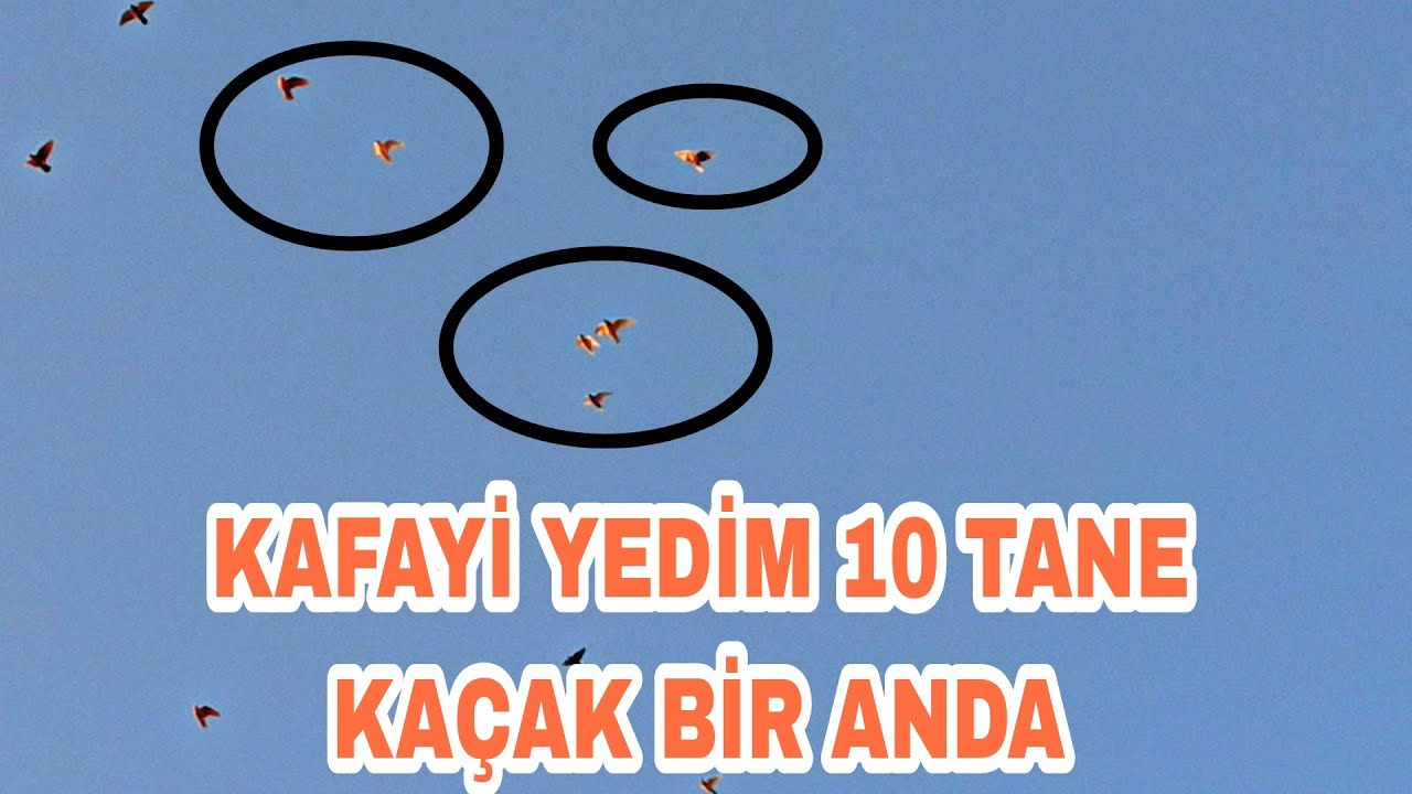 BÖYLE ŞEYLER KİMİN BAŞİNA GELİR 10 TANE KAÇAK BİR ANDA KAFAYİ YEDİM