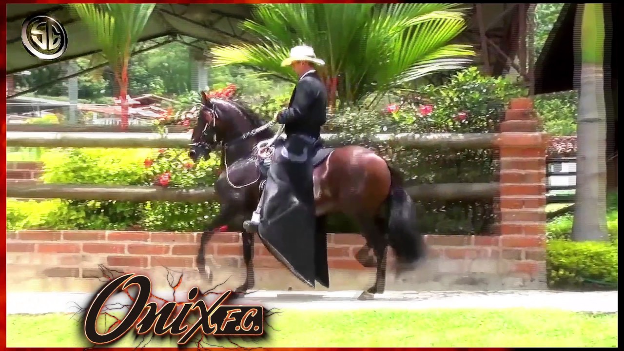 Video Promocional Onix Fuera de Concurso y sus crias