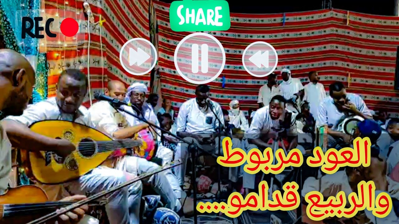 تقاسيم عود صيفية تحت اشراف الاستاذ مصطفى حالة مع  تفاعل الجمهور 10/10 الكيت 🎧والرشوق 👏