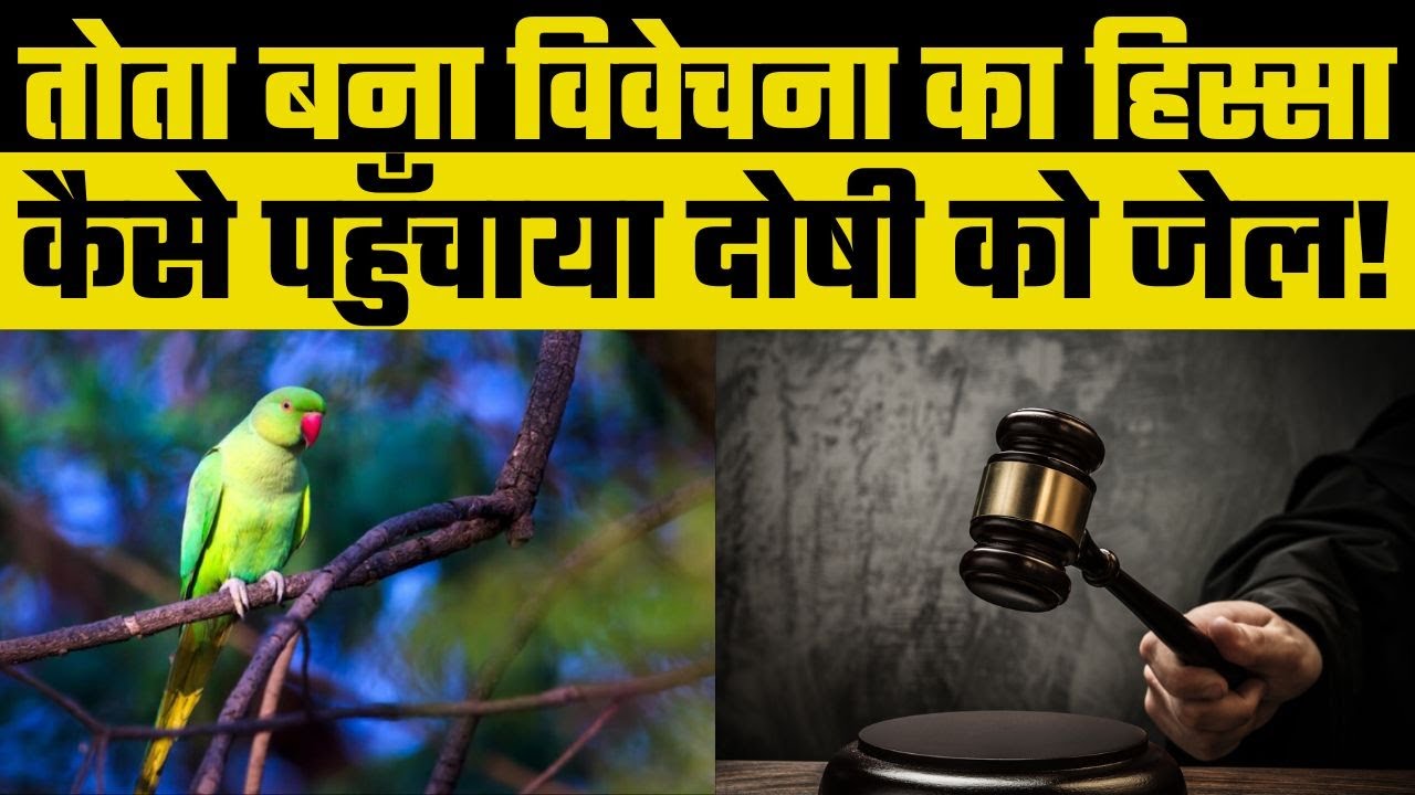 Agra में Murder Case में Parrot बना विवेचना का हिस्सा, Police को बताया कि "आशू आया था"