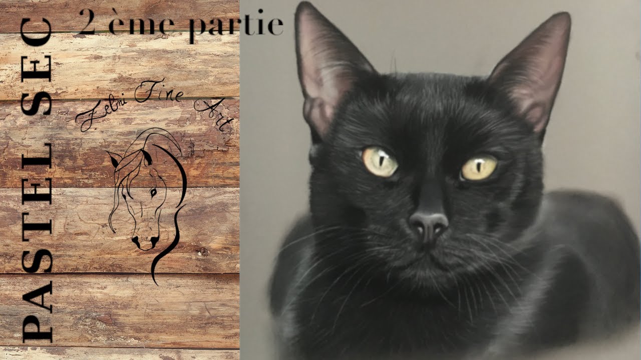 Comment Réaliser un chat noir au pastel sec, 2 ème partie