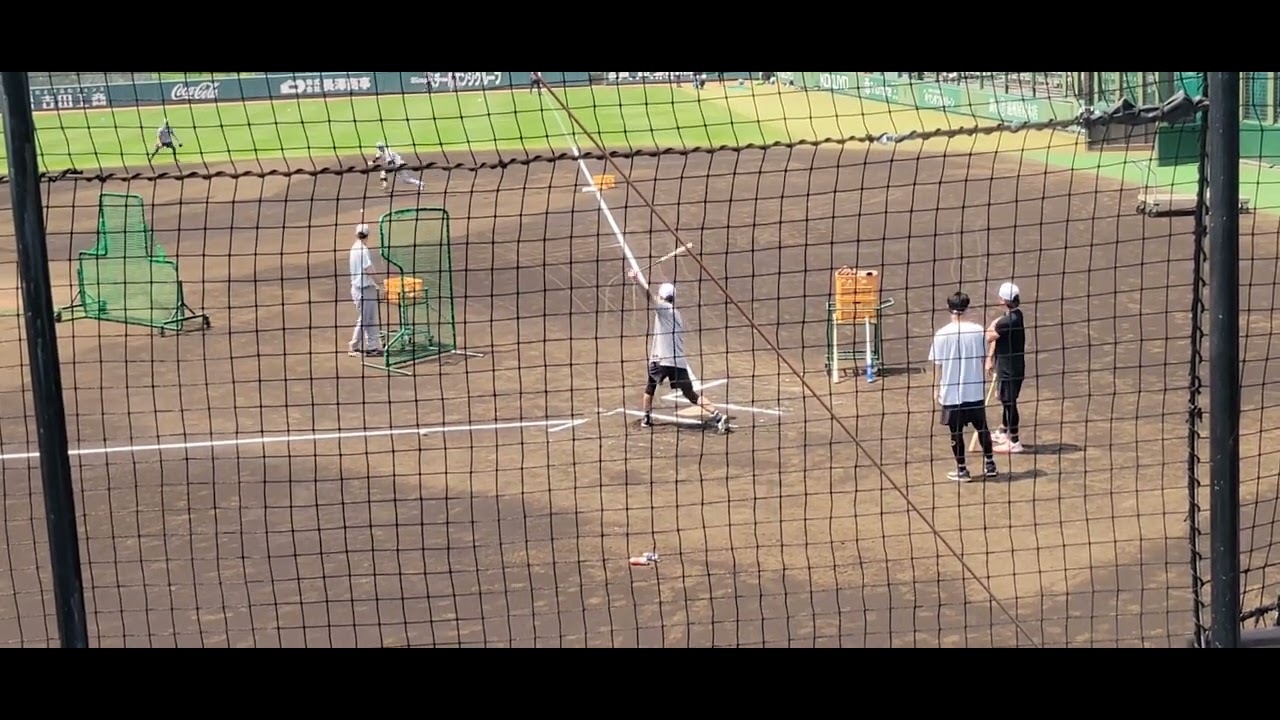 正面からのトスバッティングをする坂本勇人選手