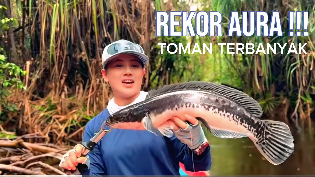TOMAN BRUTAL !!! REKOR TERBANYAK MANCING TOMAN DI KALIMANTAN BARAT || CASTING TOMAN