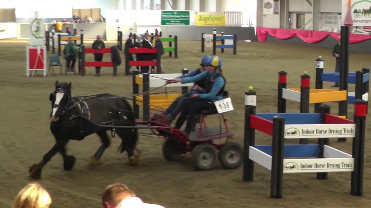 Indoor Carriage Driving Finals, 2017, Novice Junior, obstacle 2