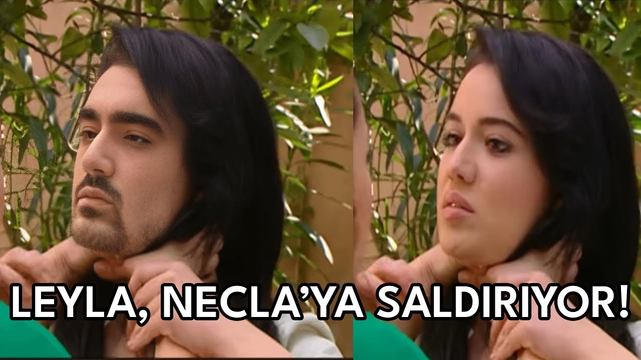 Tssigalko Yaprak Dökümü İzliyor Vol 76 | LEYLA, NECLA'YA SALDIRIYOR!