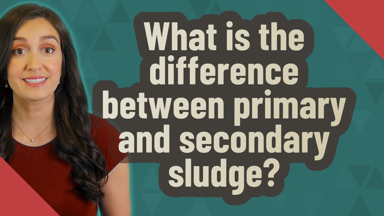 What is the difference between primary and secondary sludge?