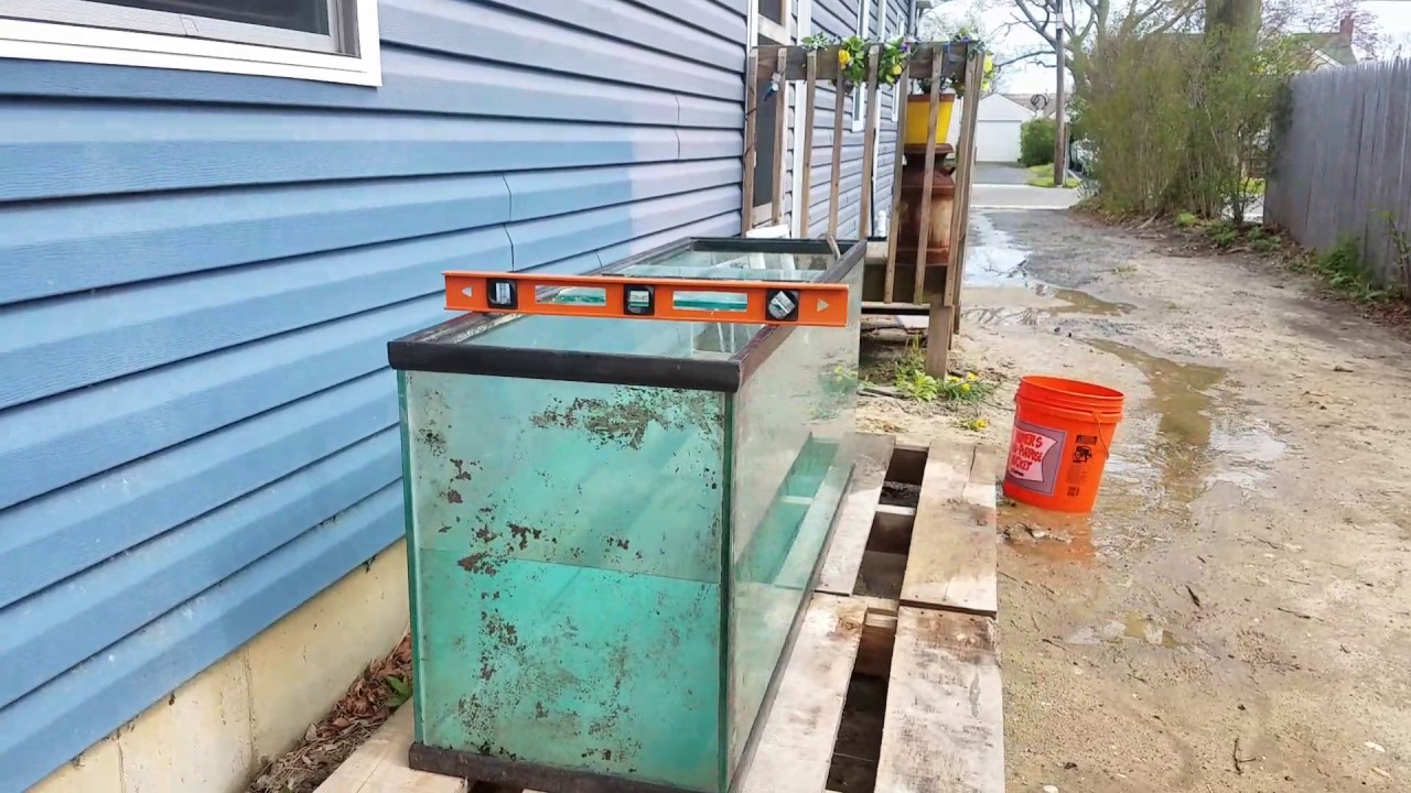 Level & Sturdy | Aquarium Build
