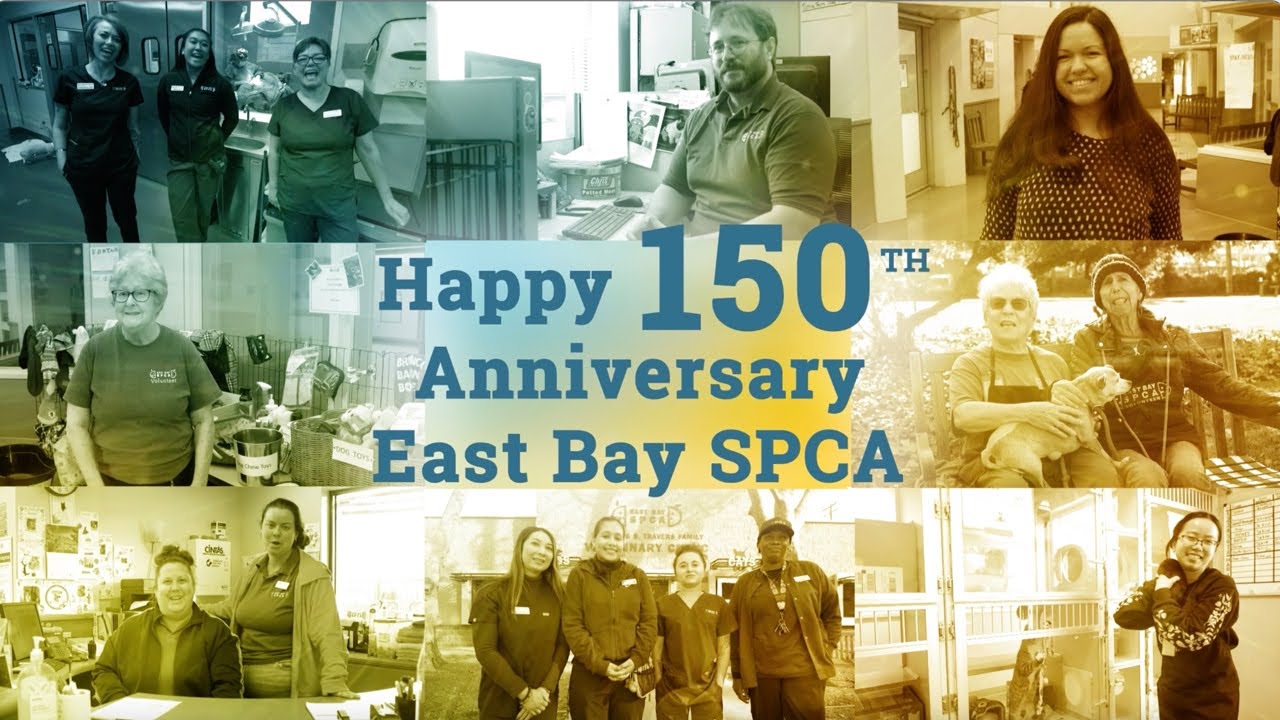 East Bay SPCA Celebrates 150 years