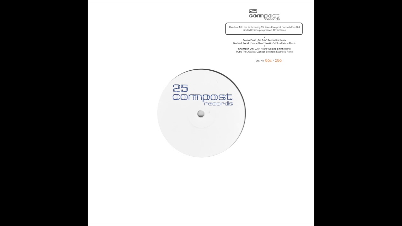 Shahrokh Dini - Owl Flight (Delano Smith Remix)