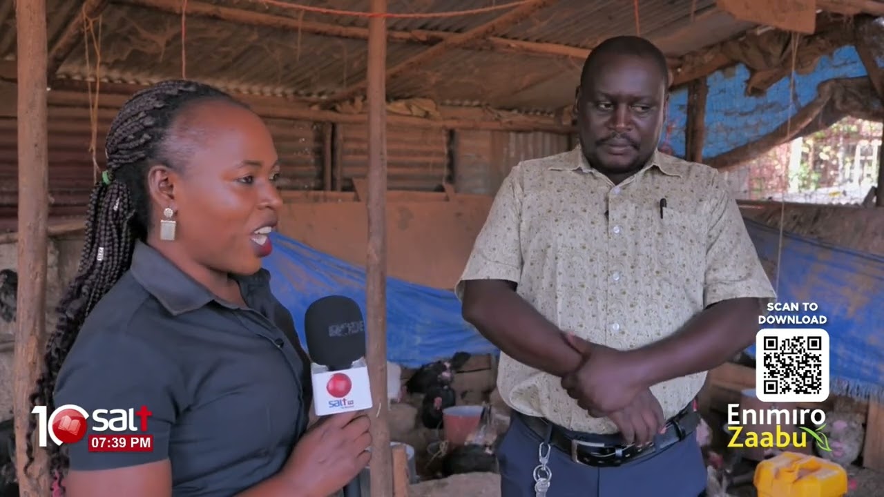 OKULUNDA ENKOKO ENANSI: Omusaala gwali tegutumala ne tutandiikawo pulojekiti y'okulunda - Baguma