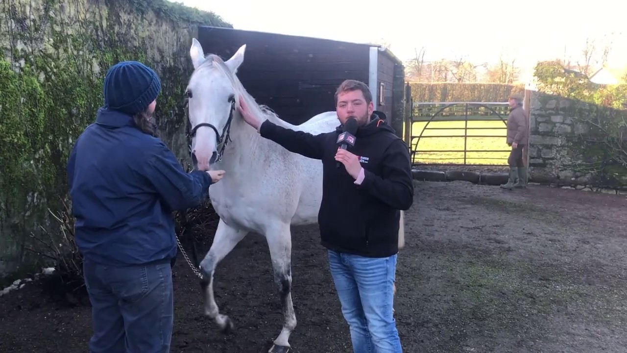 Jukebox Jury - Burgage Stud - Irish Stallion Trail 2020