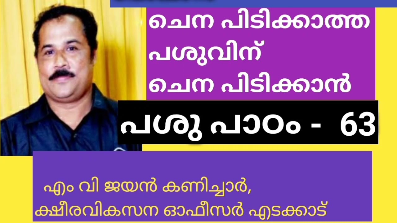 ചെന പിടിക്കാത്ത പശുവിന് ചെന പിടിക്കാൻ / എം വി ജയൻ കണിച്ചാർ / ക്ഷീര വികസന ഓഫീസർ എടക്കാട്