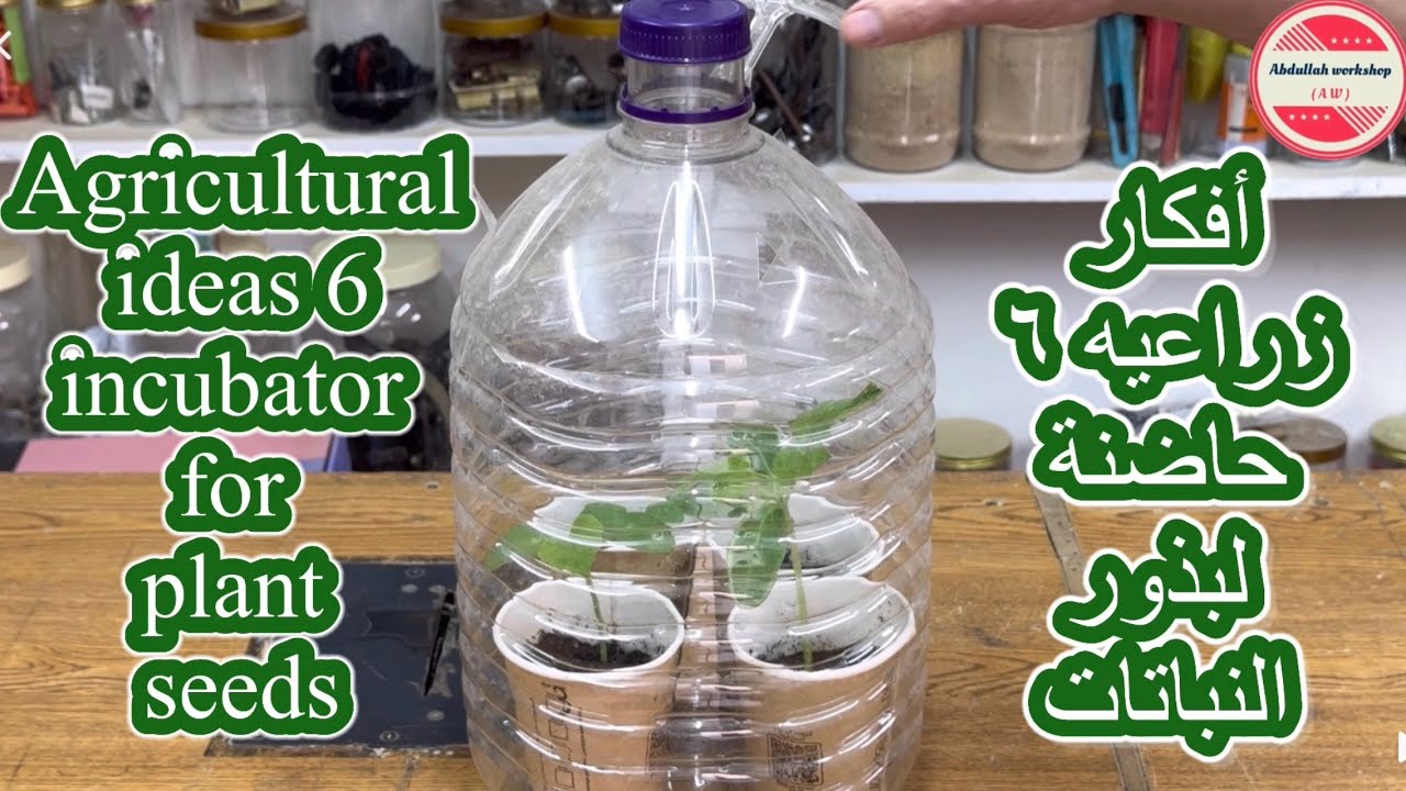 أفكار زراعية ٦ حاضنة لبذور النباتات Agricultural ideas 6 incubator for plant seeds 
