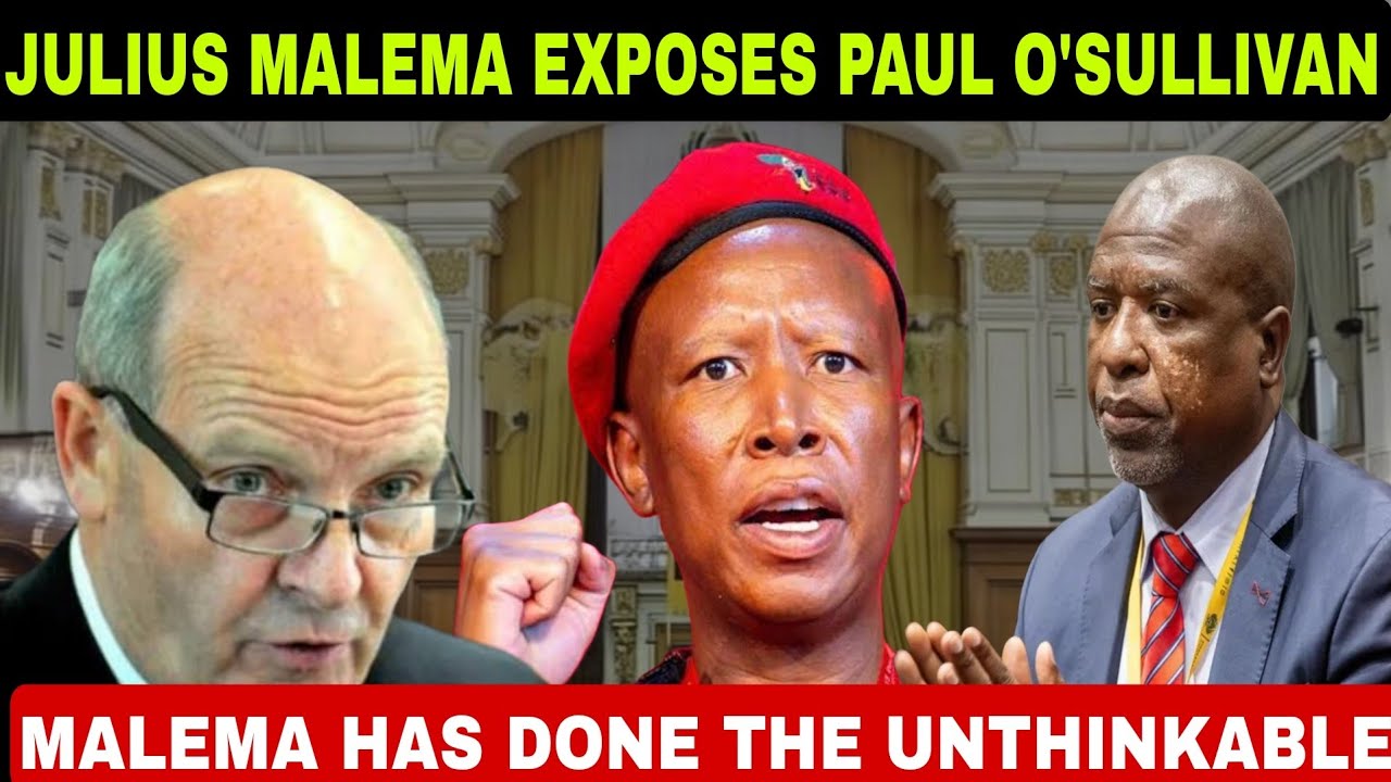 THE MOMENT JULIUS MALEMA EXPOSED PAUL O'SULLIVAN TRICKY PLAN IN FRONT OF EVERYONE 