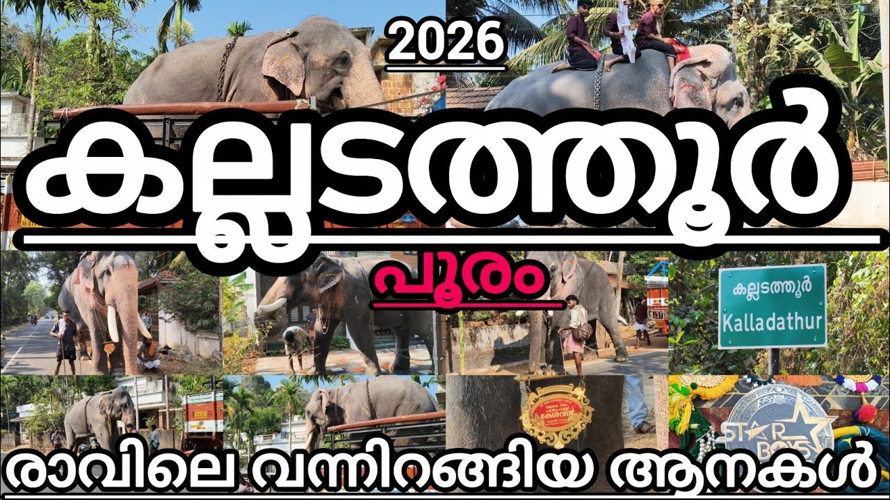കല്ലടത്തൂർ പൂരത്തിന്റെ 2026  ഭാഗമായി ഇന്ന് രാവിലെ ഓരോ ടീമുകൾക്കും വേണ്ടി വന്നിറങ്ങിയ ആനകളുടെ വീഡിയോ