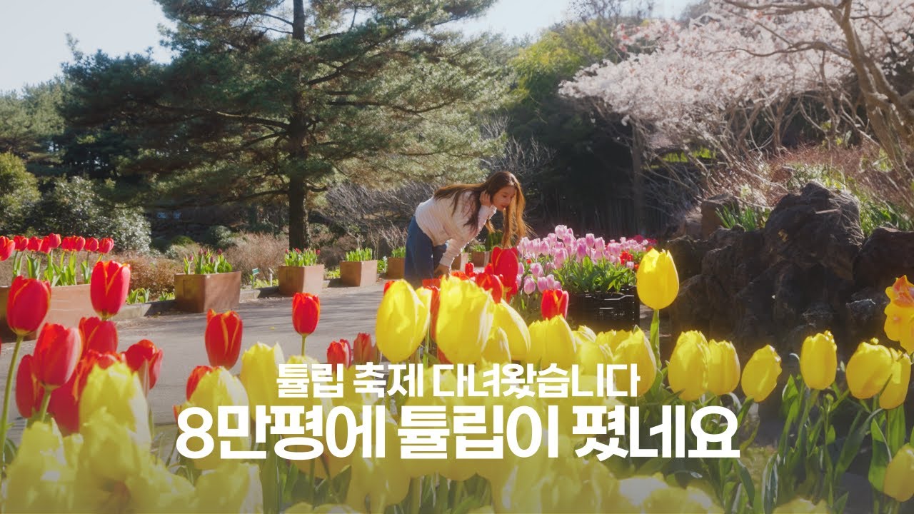 [갑조네TV] 상효원 투어 | 식물원 | 수목원 | 튤립축제