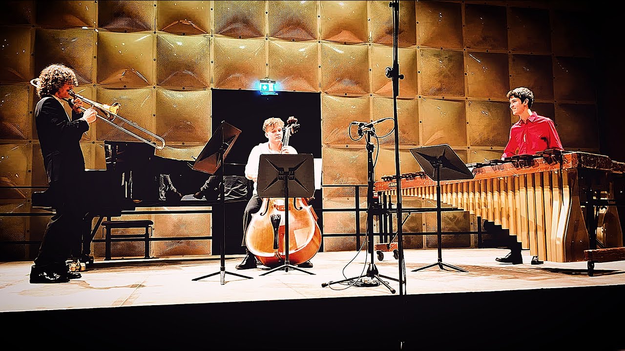 Veniamin Minchev - Sunlight Jam l Trio Live Performance