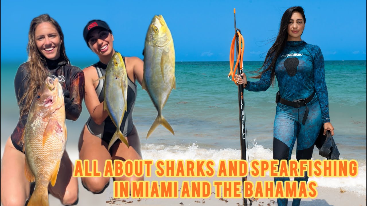 SPEARFISHING AND SHARKS IN MIAMI AND THE BAHAMAS