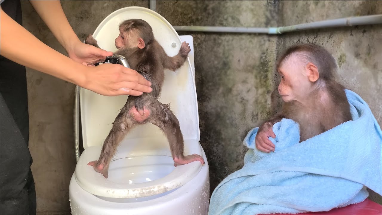 Mimi Kuku learns to use the restroom when she wakes up