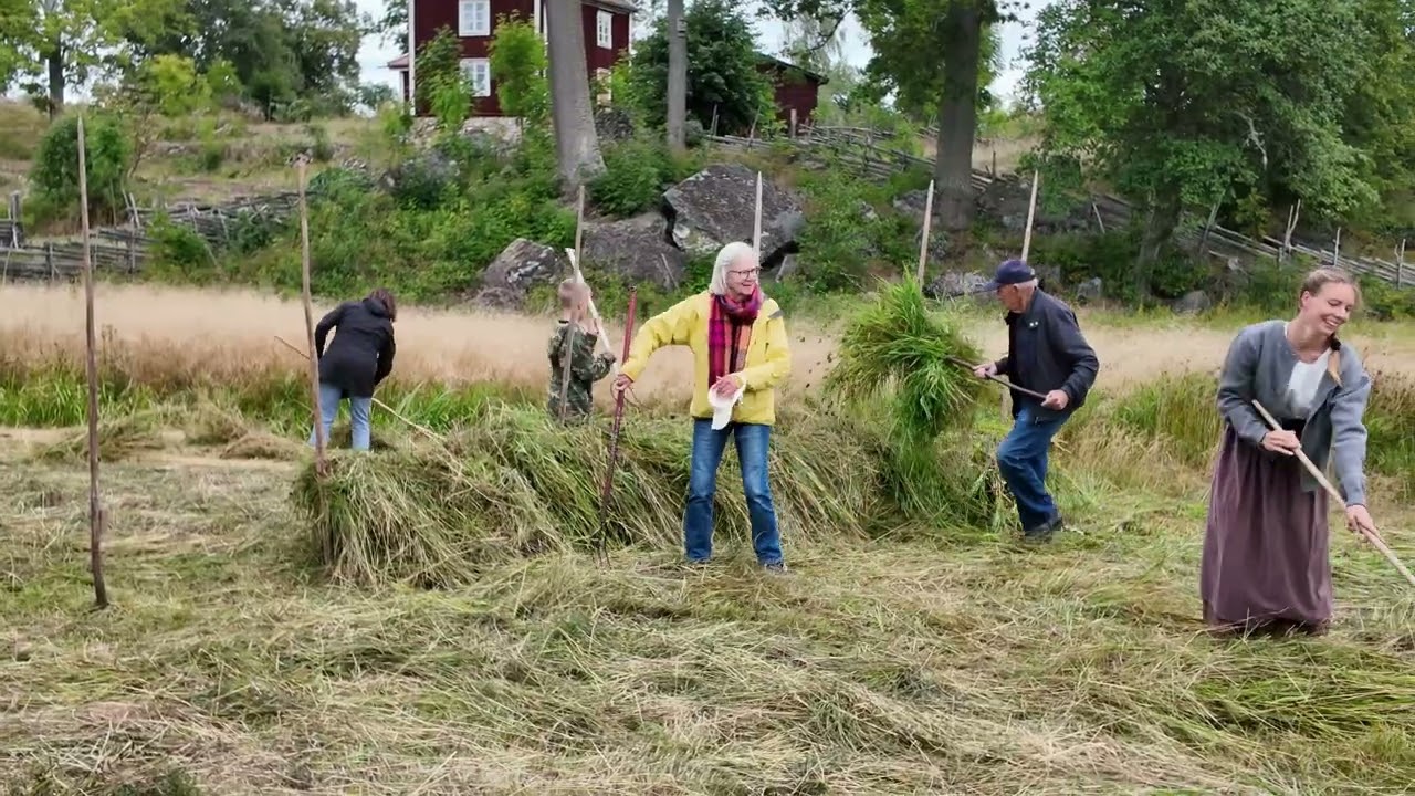 Stensjö by. (Slottergilledagen 2025)
