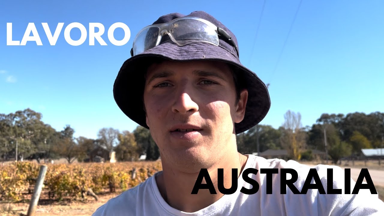 Una Giornata al Lavoro in Australia: Un Vero Sguardo dietro le Quinte