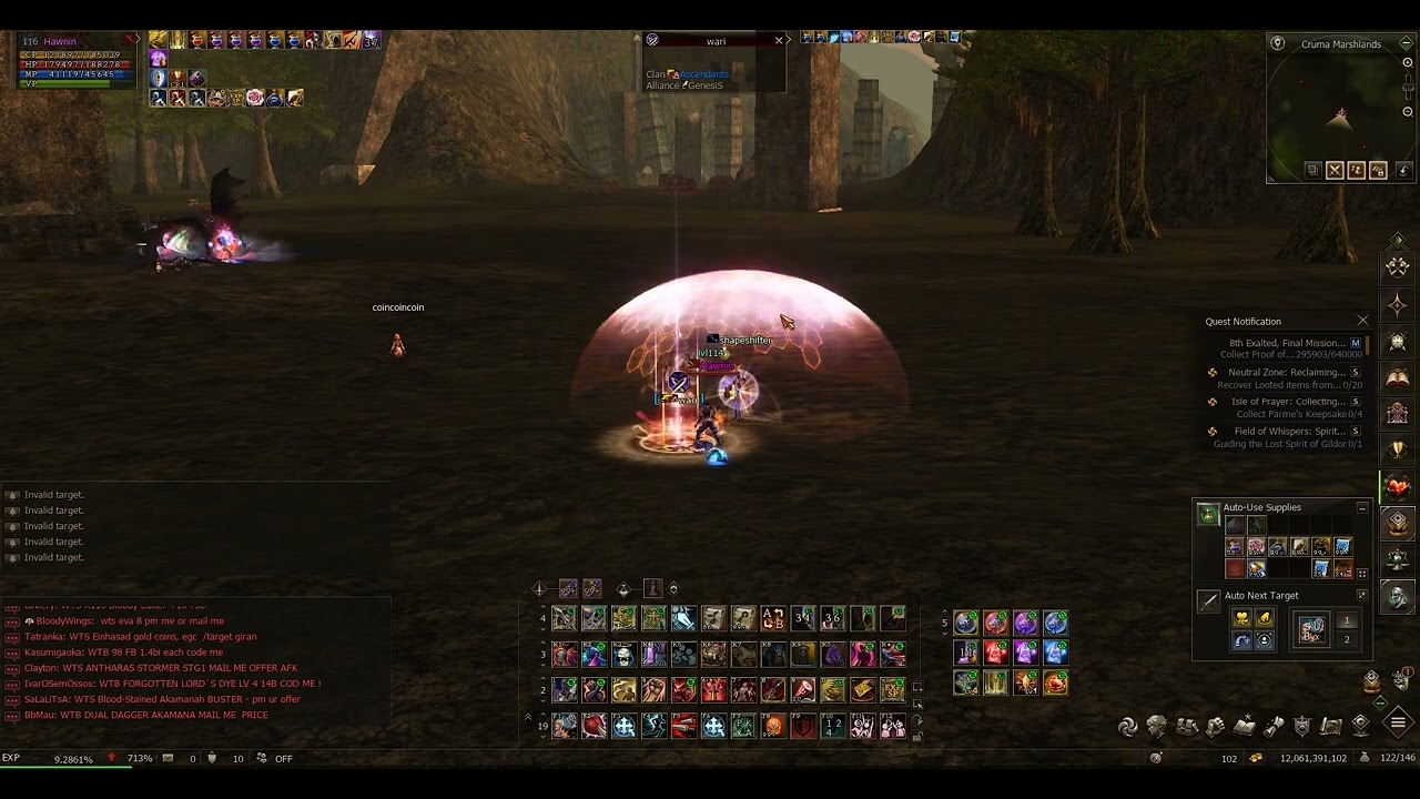 Lineage 2 2024-11-29 By Request of Wari