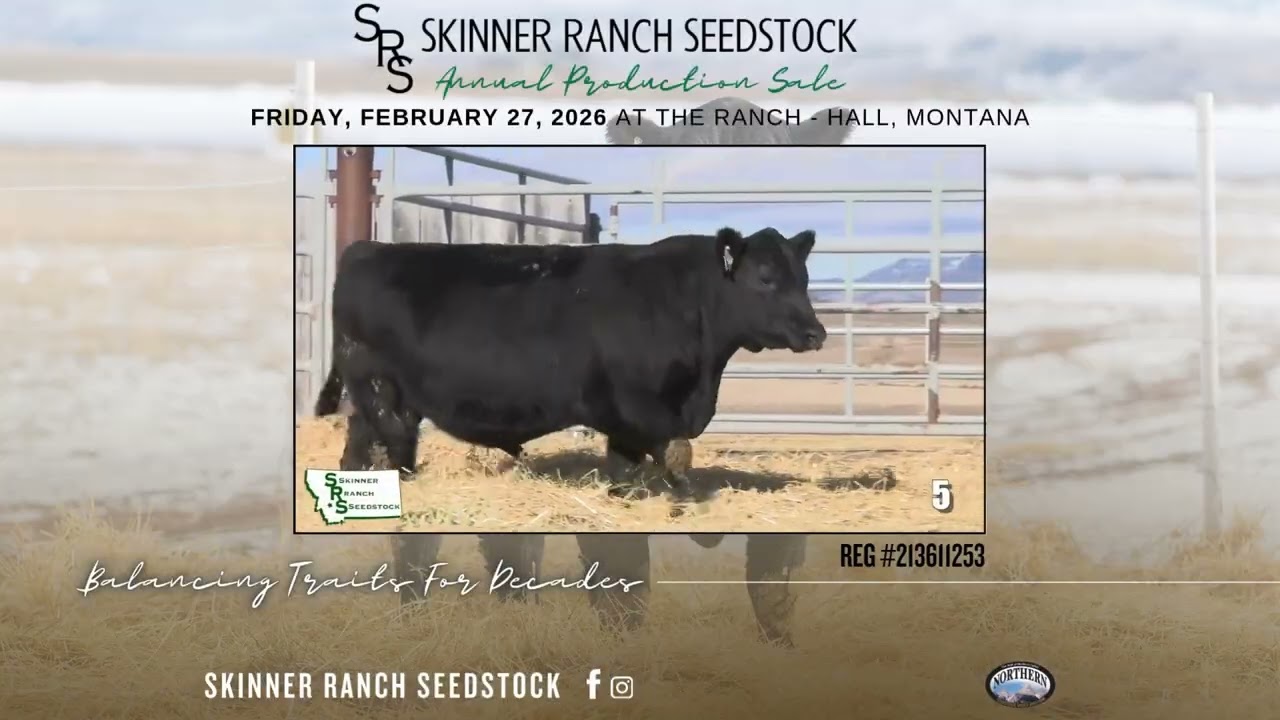 Skinner Ranch Seedstock | February 27, 2026