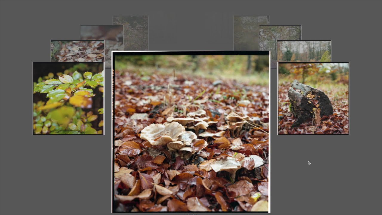 Rolleiflex 3.5F Carl Zeiss Planar 75mm - Part 2 - используем Rolleinar 2
