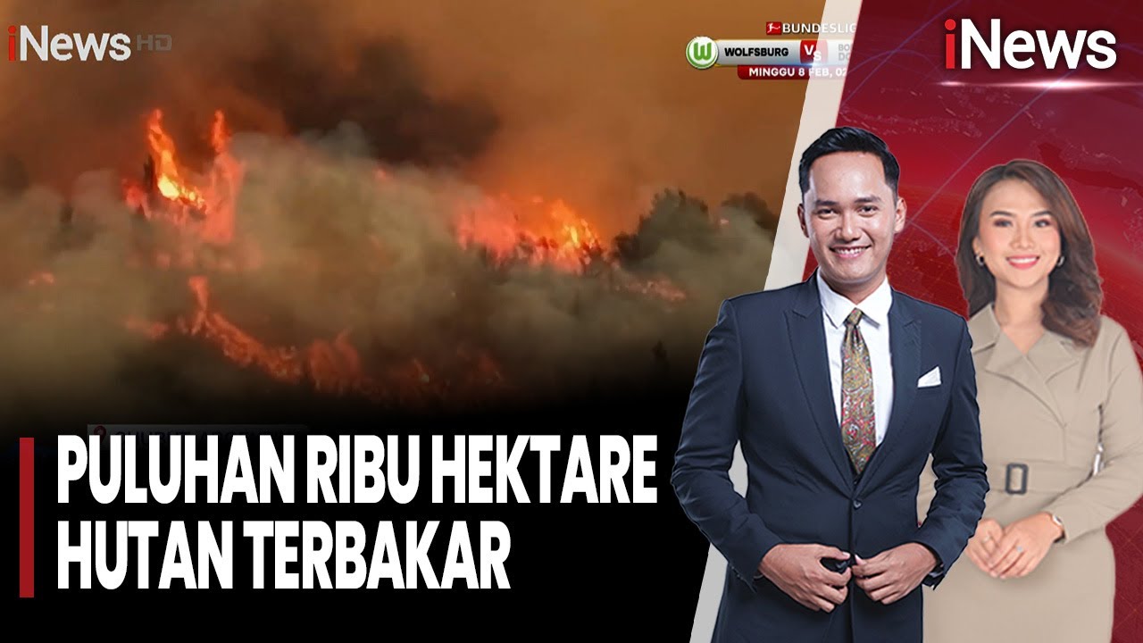 Kekabaran Hebat Puluhan Ribu Hektare Hutan | iNews Pagi (03/03)