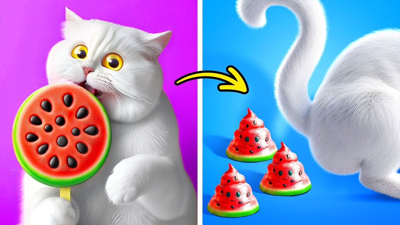 Crafts vs Gadgets 🐾 Cats 10+ Hacks You Should Try As A Pet Owner