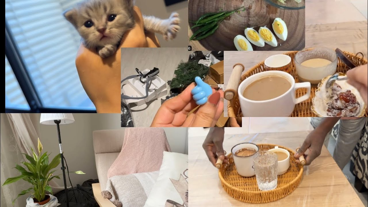 يوم كامل معي😍وجبات👩‍🍳سوالف 🗣️طلبيه من تيمو 📦#reem_days #اكسبلور #trending #cat #يومياتي #طبخ #فلوق