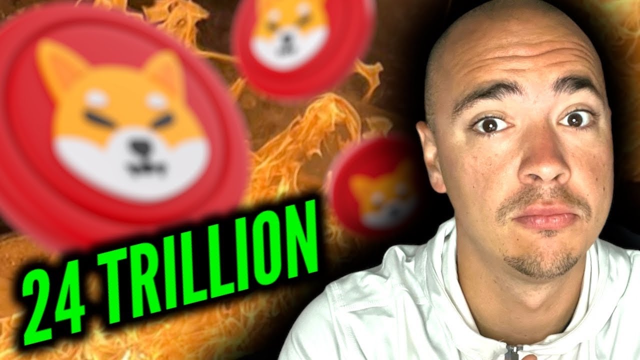 24 TRILLION SHIB??? SHIBA INU COIN UPDATE!