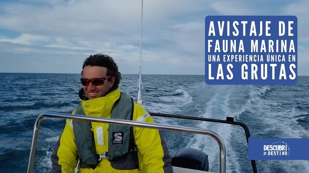 Avistaje de Fauna Marina: Una experiencia &uacute;nica en Las Grutas | Agust&iacute;n Sanchez | Rupestre