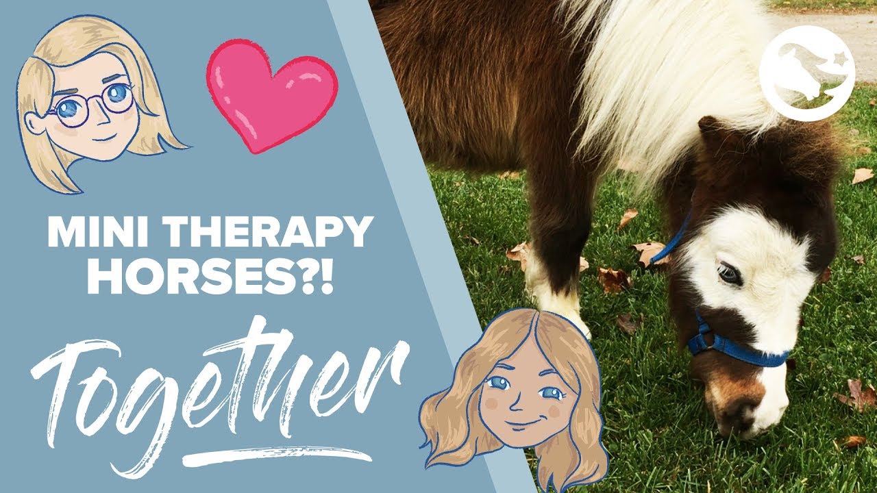 Mini Therapy Horses 💕🐴 | TOGETHER by Star Stable | Episode 1