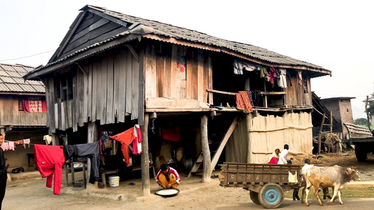 Typical Village Lifestyle In Terai Region Of Nepal || Primitive Life In Village || Country Life