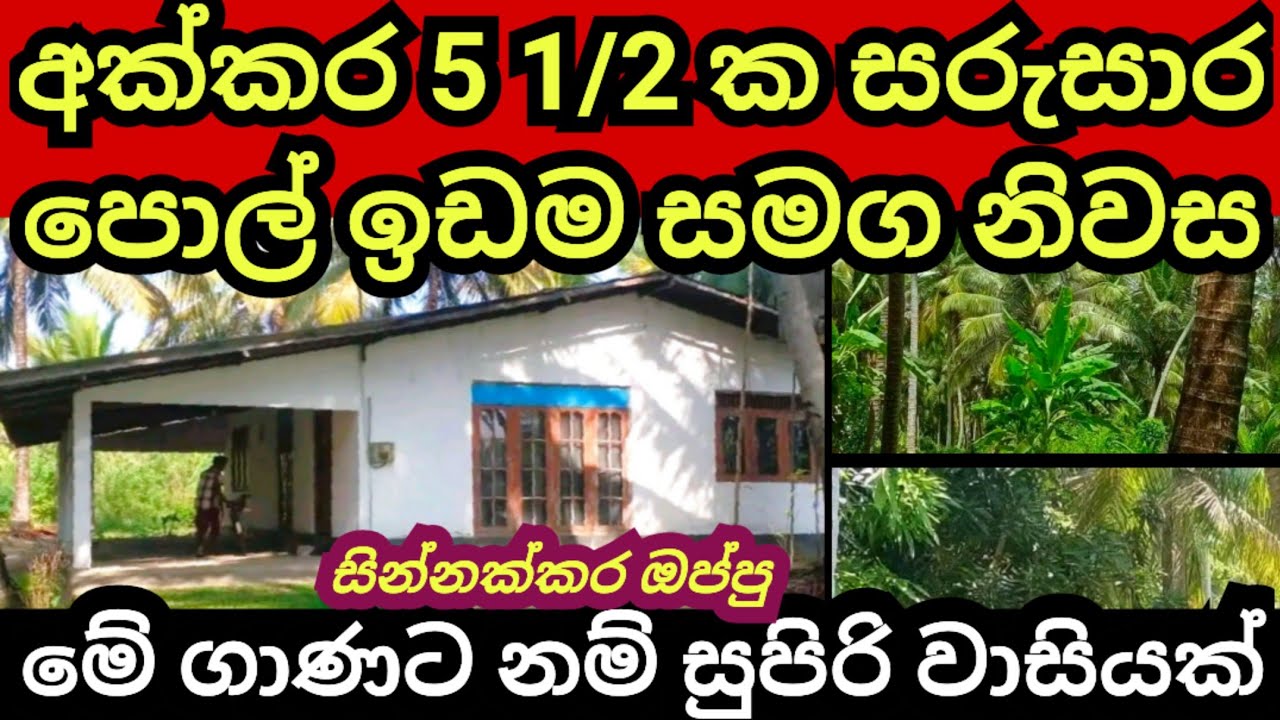 අක්කර 5 1/2 ක පොල් ඉඩම සමග වටිනා නිවස | Pol idam | Coconut land | Agriculture land | Land for sale