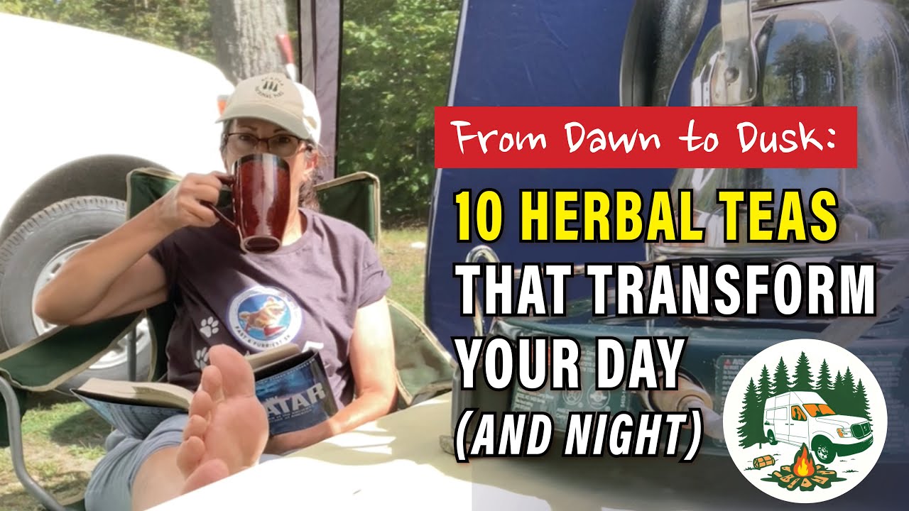 10 Herbal Teas That Transform Your Day (and Night)!