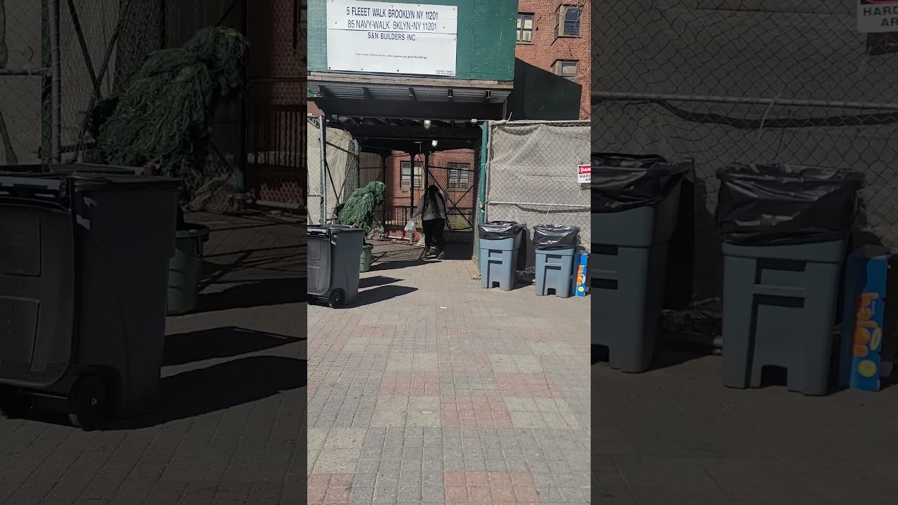 Fort Greene Projects! Brooklyn