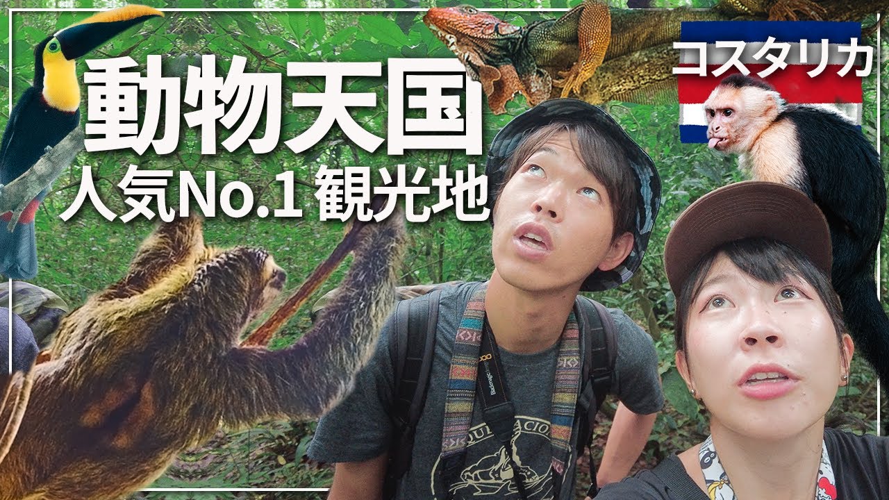 【絶叫】コスタリカの大自然を二人で散策してたら野生動物の宝庫だった！